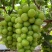 【实力推荐】阳光玫瑰葡萄大量有货产地直发个头大品质好