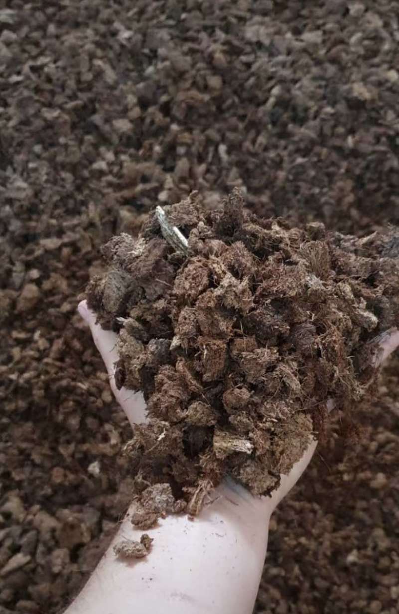 欧洲工厂直销/进口优质育苗泥炭土/育苗基质蓝莓