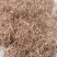 食用菌发酵专用杨木屑纯杨木发酵充分使用于各种菇类