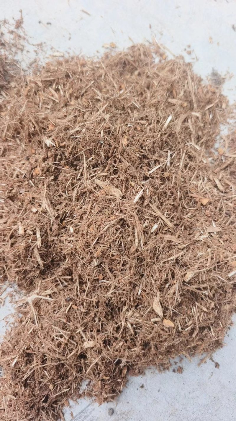 食用菌发酵专用杨木屑纯杨木发酵充分使用于各种菇类