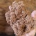 食用菌发酵专用杨木屑纯杨木发酵充分使用于各种菇类