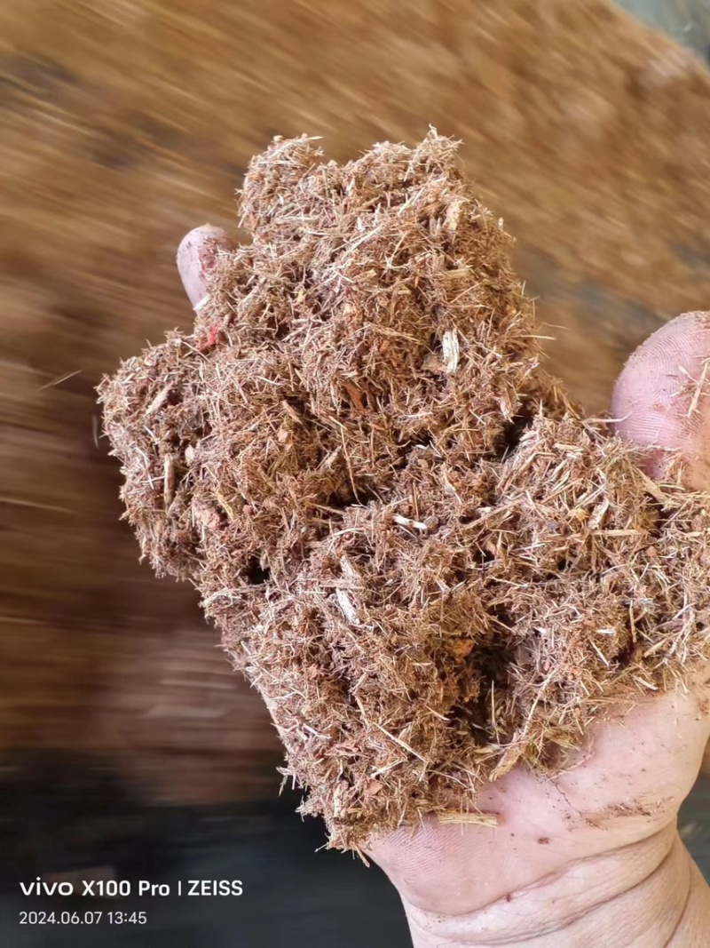食用菌发酵专用杨木屑纯杨木发酵充分使用于各种菇类