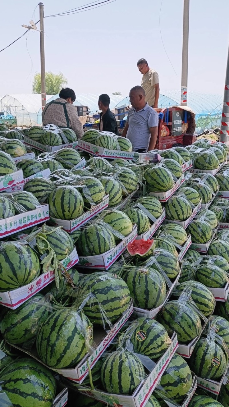 8424西瓜上市，产地直发货量充足价格皮毛好头茬瓜