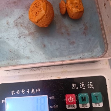 牛胆结石(牛黄)一个胆开出18g，湿货