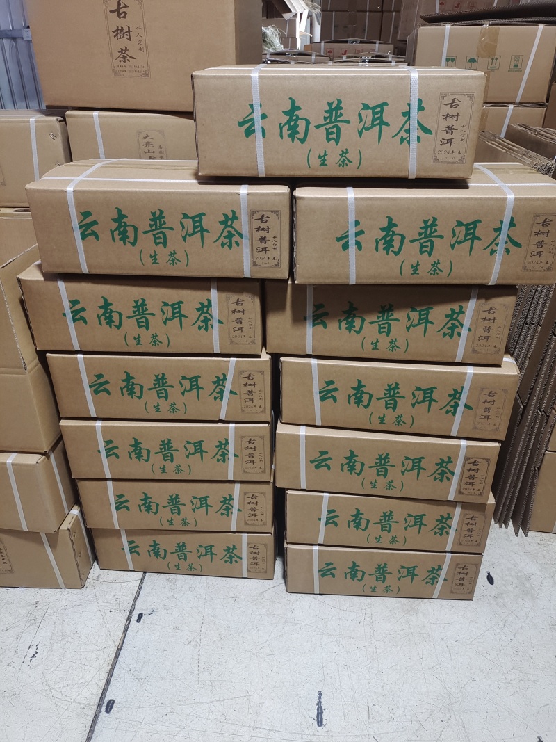 普洱古树生茶