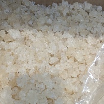雪燕