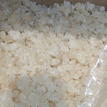 雪燕