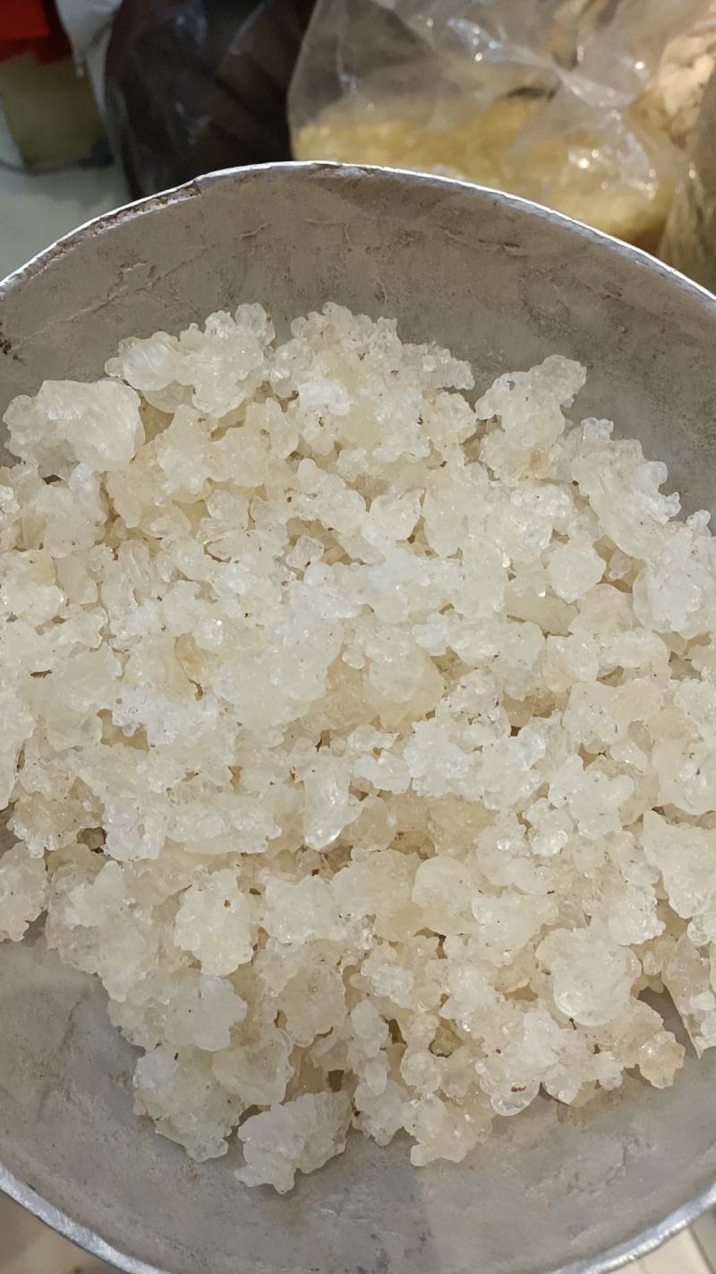 雪燕