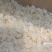 雪燕