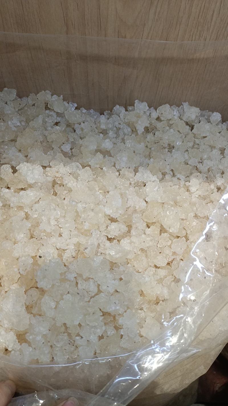 雪燕