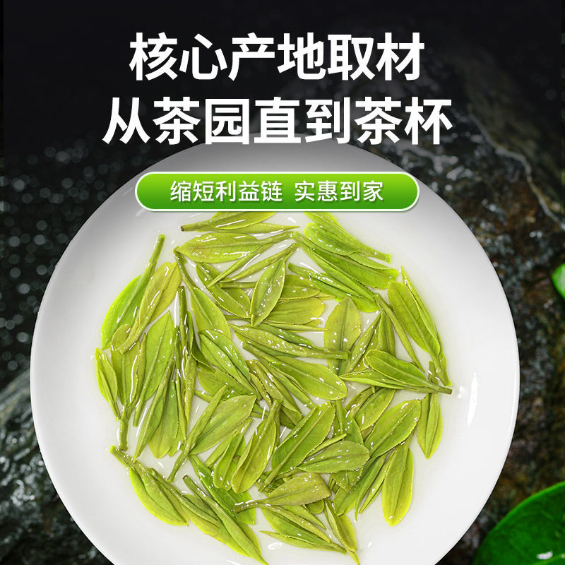 特级龙井绿茶叶2024新茶明前茶叶绿茶浓香型