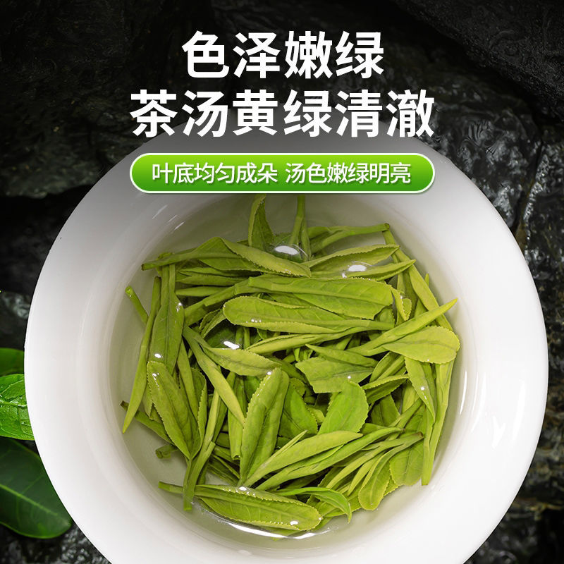 特级龙井绿茶叶2024新茶明前茶叶绿茶浓香型