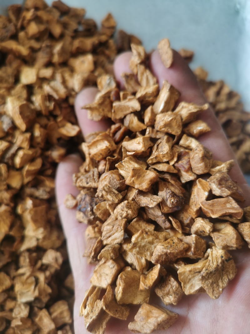 菊苣炒菊苣根选货菊苣根批发零售各种规格中药材