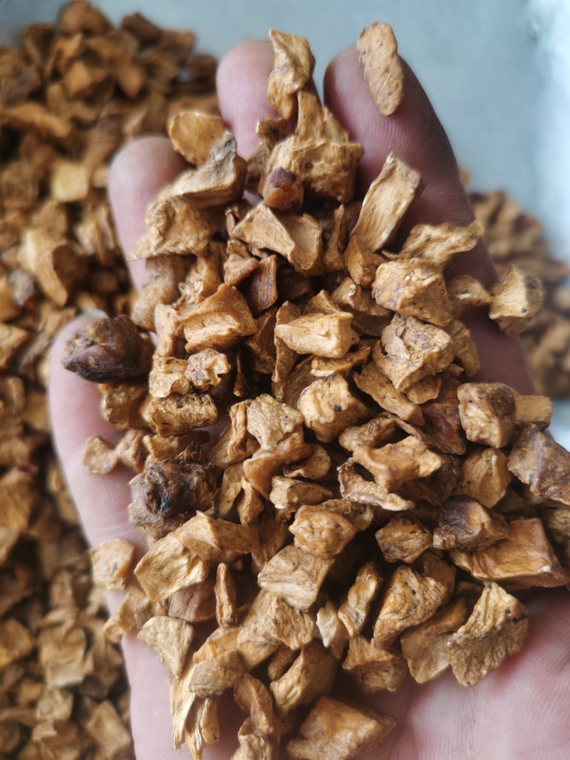 菊苣炒菊苣根选货菊苣根批发零售各种规格中药材