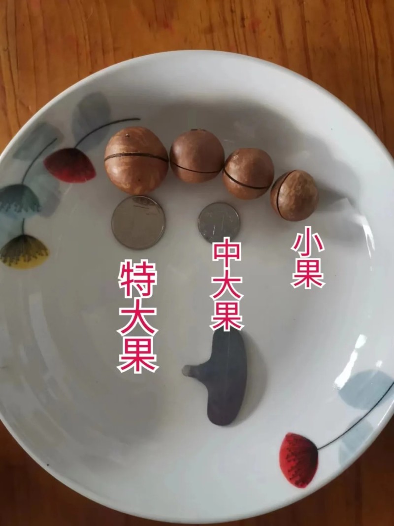 云南开口原味夏威夷果澳洲坚果送开口器0添加无干燥剂一级货