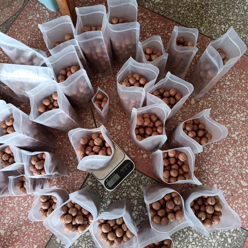 云南开口原味夏威夷果澳洲坚果送开口器0添加无干燥剂一级货