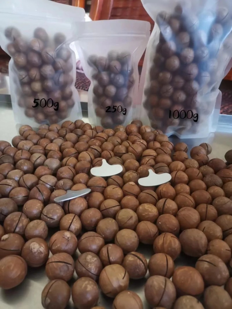 云南开口原味夏威夷果澳洲坚果送开口器0添加无干燥剂一级货