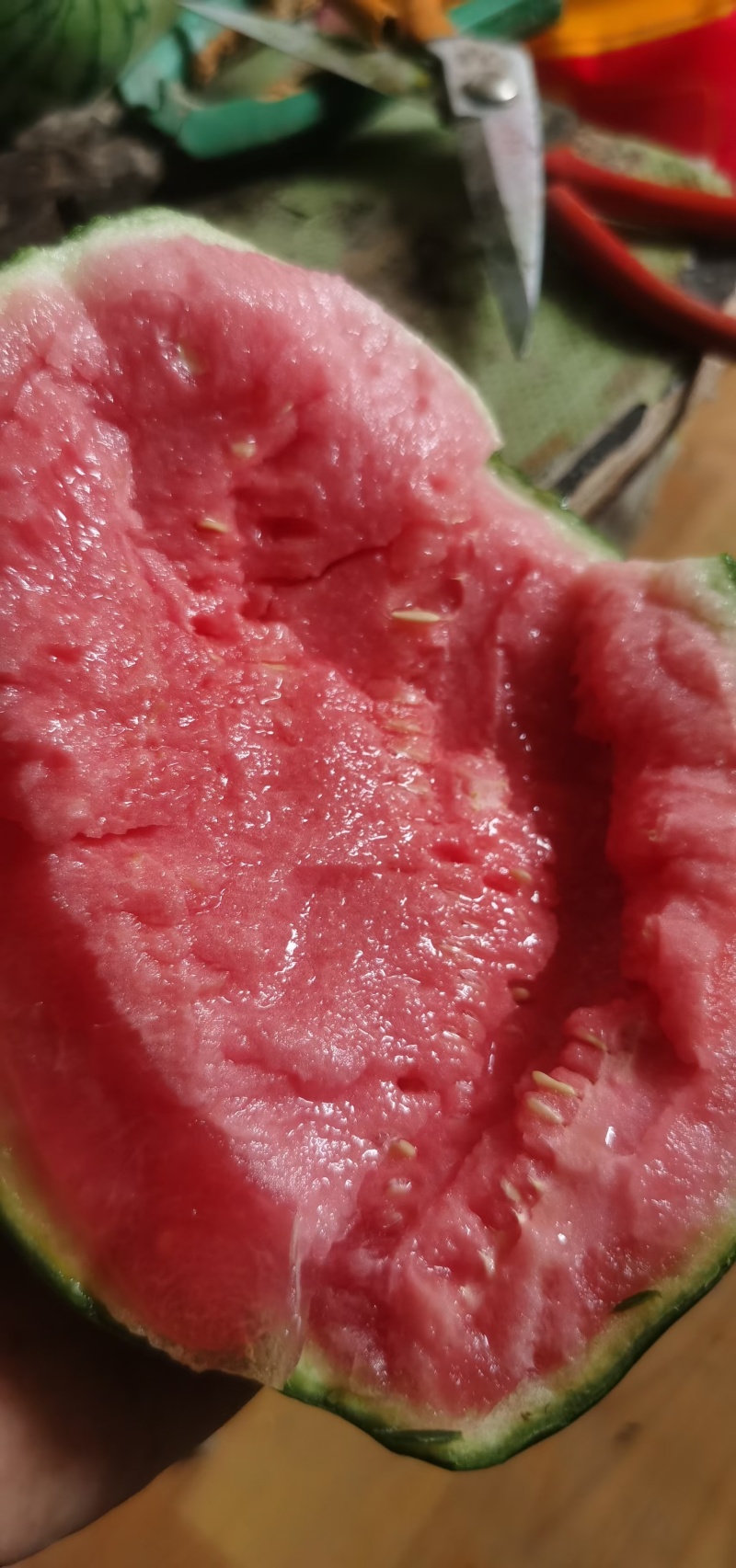 A1美都麒麟西瓜，糖度高，头茬，无籽，自根苗，基地直供