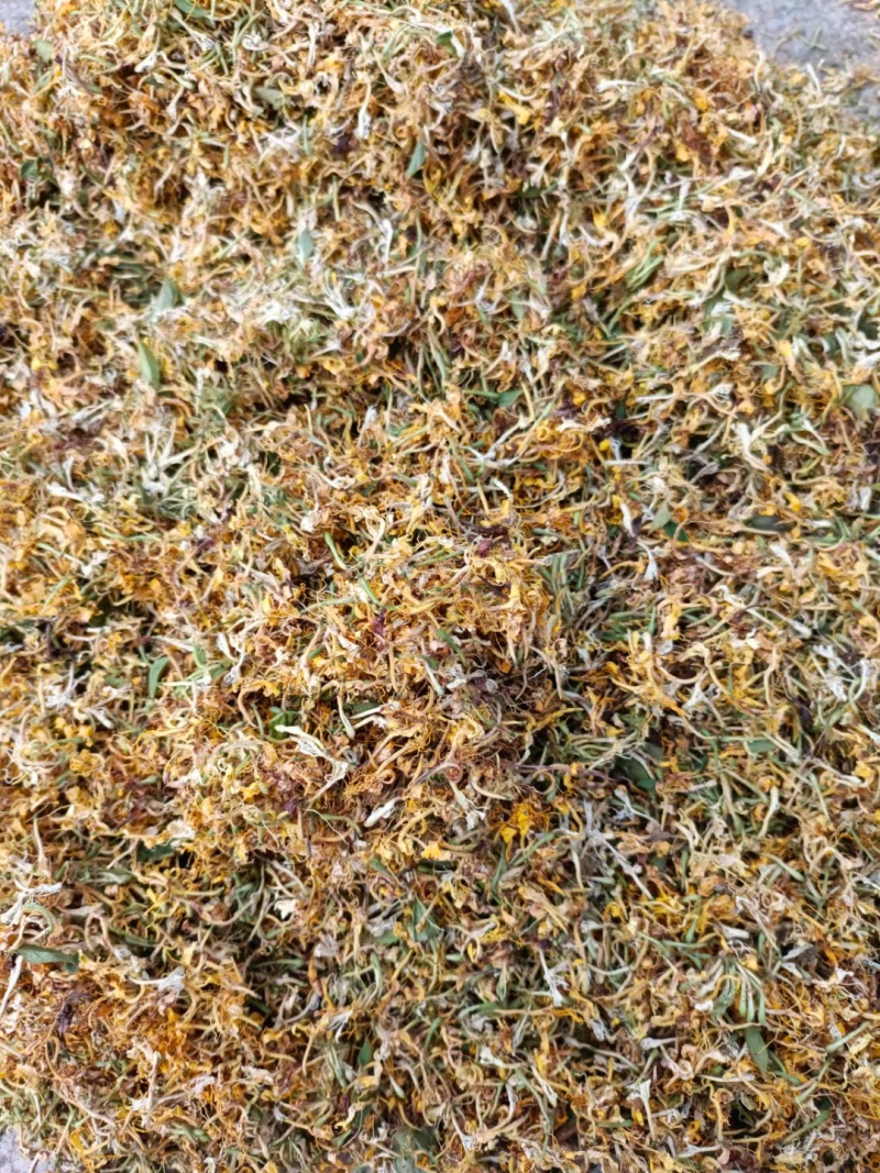 （热销）贵州金银花