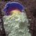厂家供应硫磺粉片土壤消毒薰蒸工业用