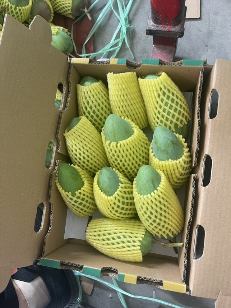 金黄芒果，一件代发，对接电商、商超等，价格便宜，欢迎
