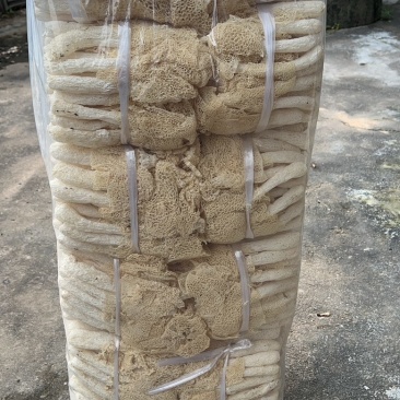 竹荪菇