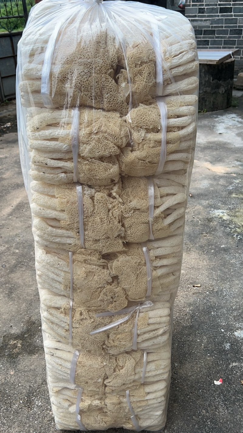 竹荪菇