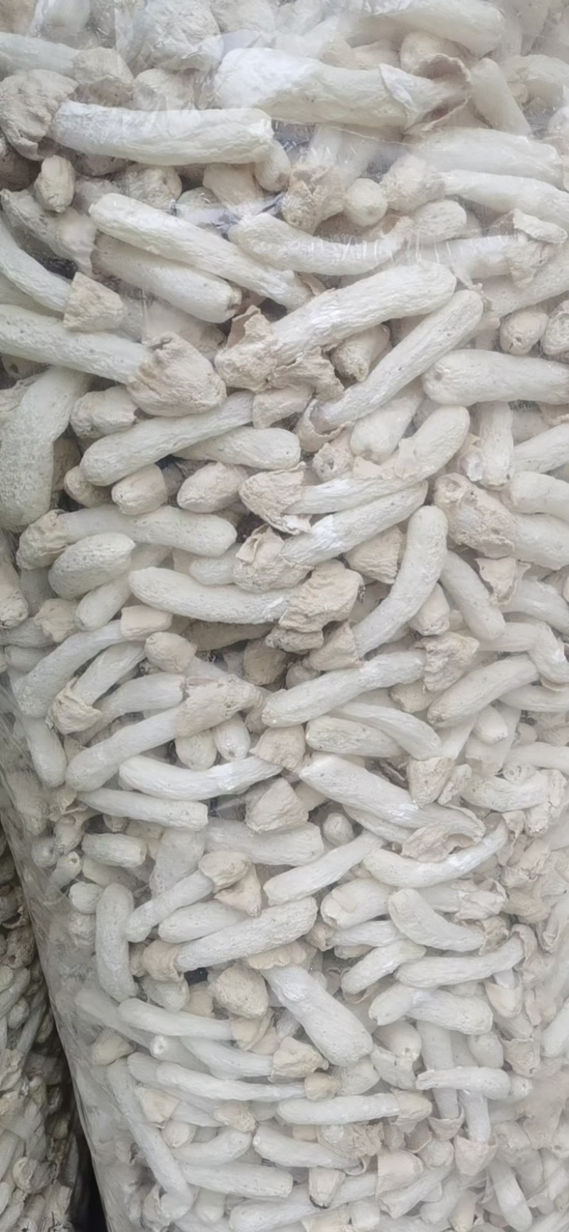 竹荪菇