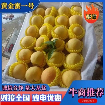 山东临沂黄金蜜一号桃产地直发对接全国诚信合作欢迎来电