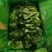 【实力推荐】罗马生菜河北产地大量现货产地直发支持视频看货