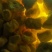 印尼伊真正品天然火山石原矿石硫磺中药材食用可炮制