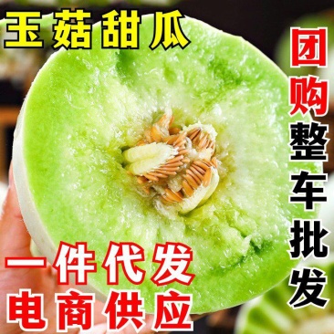 玉菇甜瓜一件代发翡翠蜜瓜白皮绿肉甜瓜香瓜当季新鲜水果