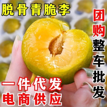 脱骨李一件代发四川青脆李空心青皮李子新鲜水果