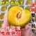 脱骨李一件代发四川青脆李空心青皮李子新鲜水果