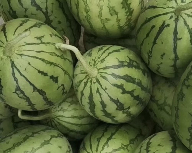 展示一个完整的早春红玉西瓜,外皮为深绿色带有墨绿色条纹,切开后露出鲜红色果肉 早春红玉西瓜整体外观