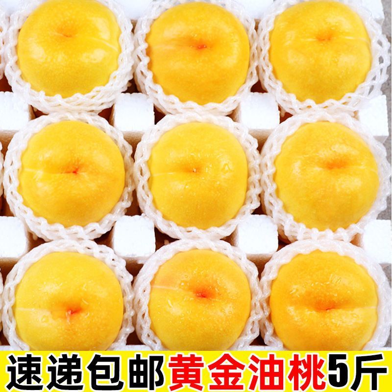 山东蒙阴黄油桃一件代发包邮包售后品质保证对接电商源头供应