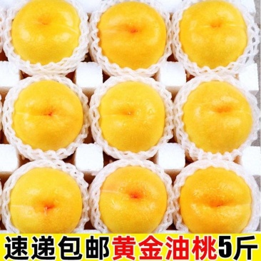 山东蒙阴黄油桃一件代发包邮包售后品质保证对接电商源头供应