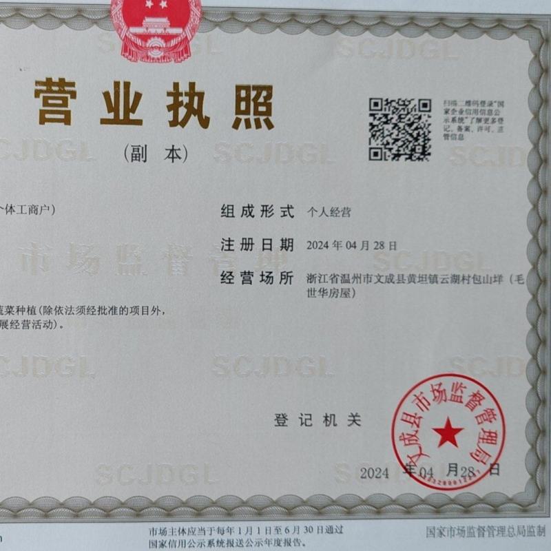 文成东槐杨梅