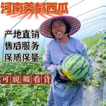 夏邑麒麟、美都瓜，可视频看货产地直供