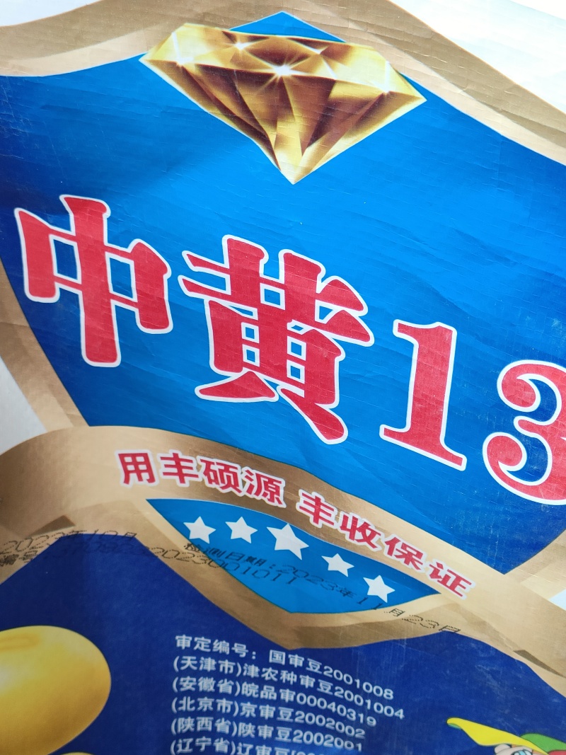 高产早熟黄豆种子原种大颗粒非转基因黄豆矮杆抗病抗倒伏黄豆