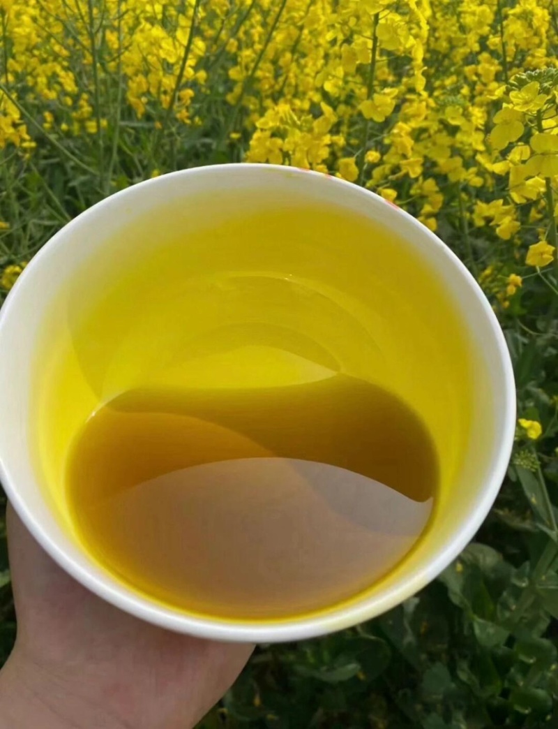纯菜籽油5升品质保证50元一桶，健康农家自榨