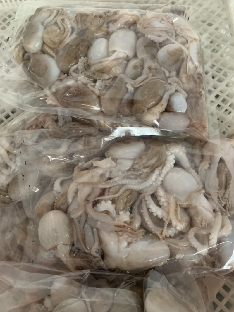 八爪章鱼