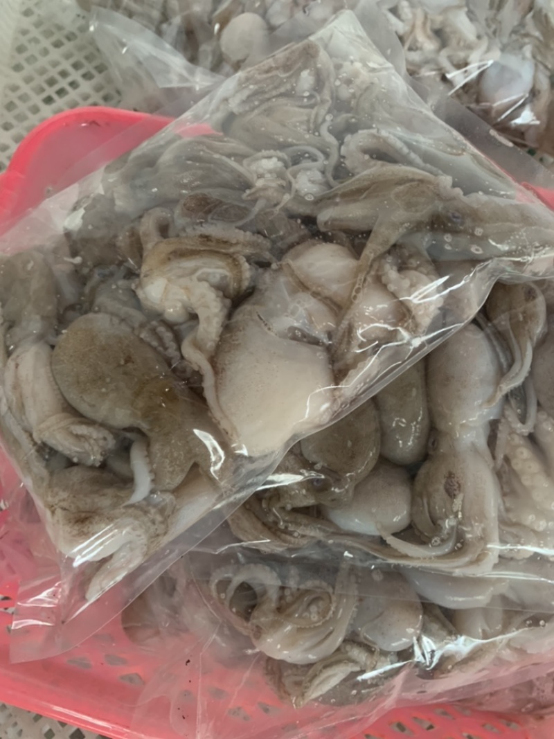 八爪章鱼