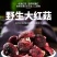 【云南野生红菇】云南野生小红菇丁菇红蘑菇当季新货包邮