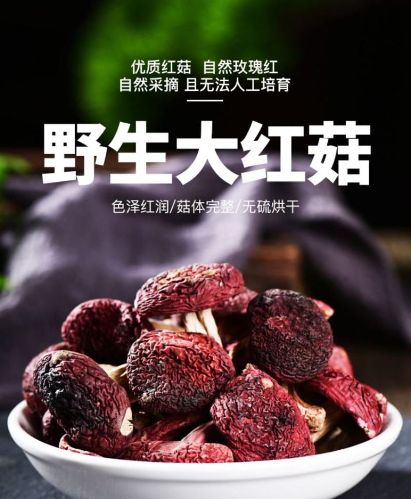 【云南野生红菇】云南野生小红菇丁菇红蘑菇当季新货包邮