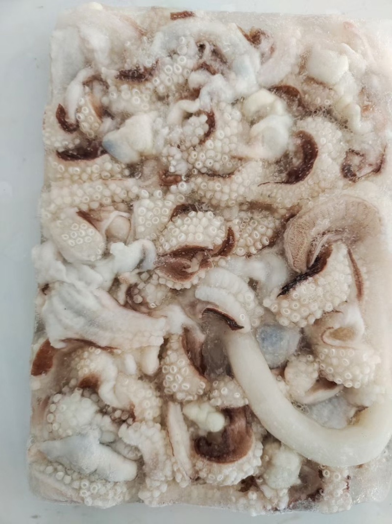 墨鱼须天龙爪口感脆适合捞汁海鲜酒店饭店