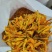 台湾黄花菜