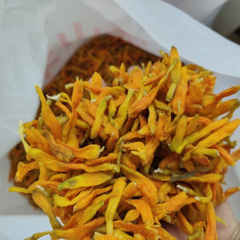 台湾黄花菜