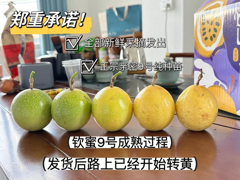 黄金百香果钦蜜九号蜂蜜百香果爆甜一件代发