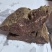 新鲜冷冻优质半成品牛肉块整箱20斤带筋牛肉牛肉块饭店卤菜